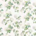 SUSSEX HYDRANGEA - White and Green