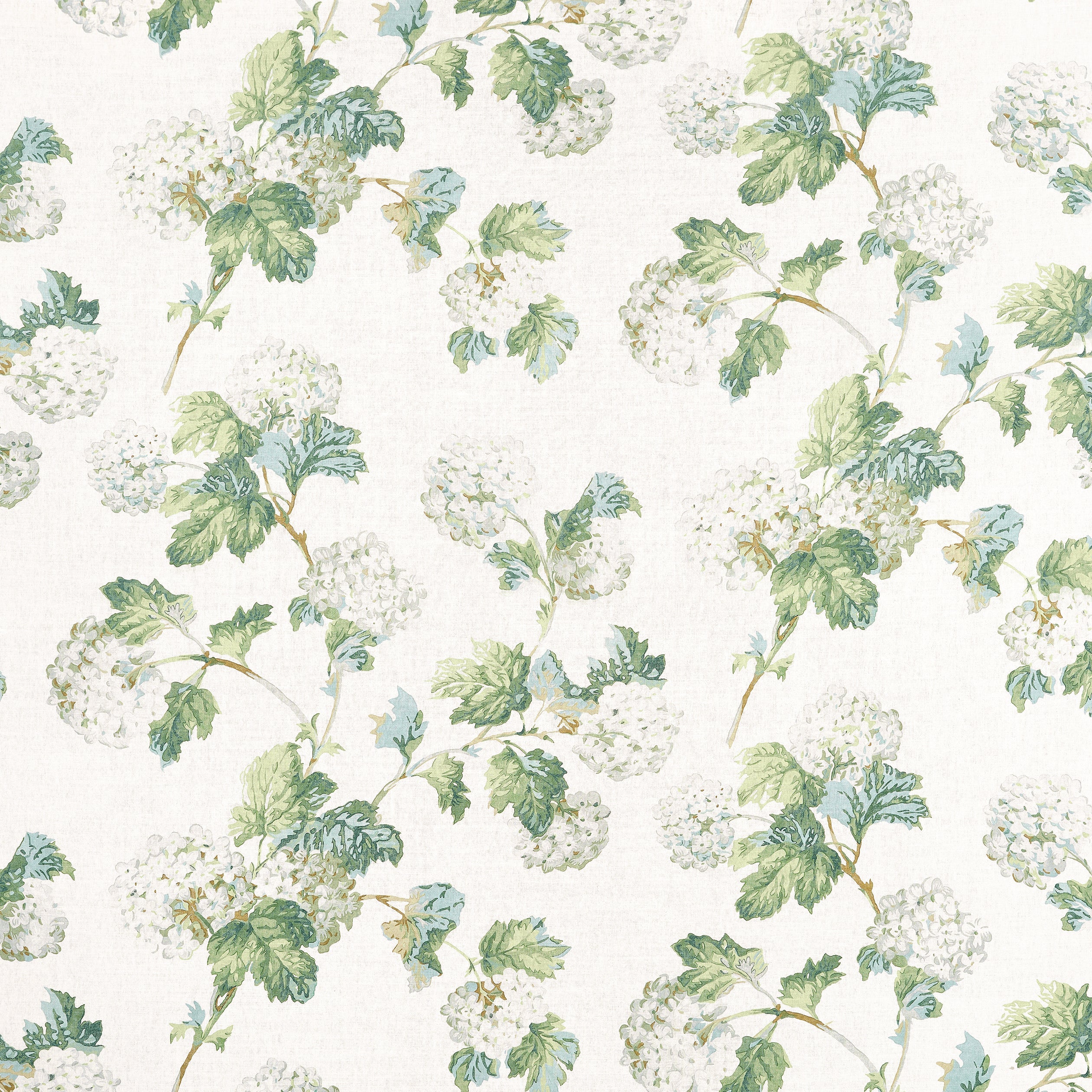 SUSSEX HYDRANGEA - White and Green