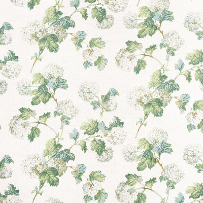 SUSSEX HYDRANGEA - White and Green