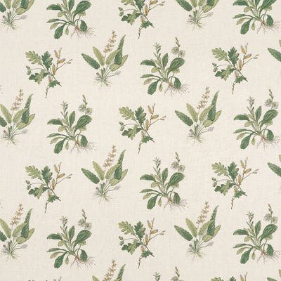 WOODLAND - Green on Natural
