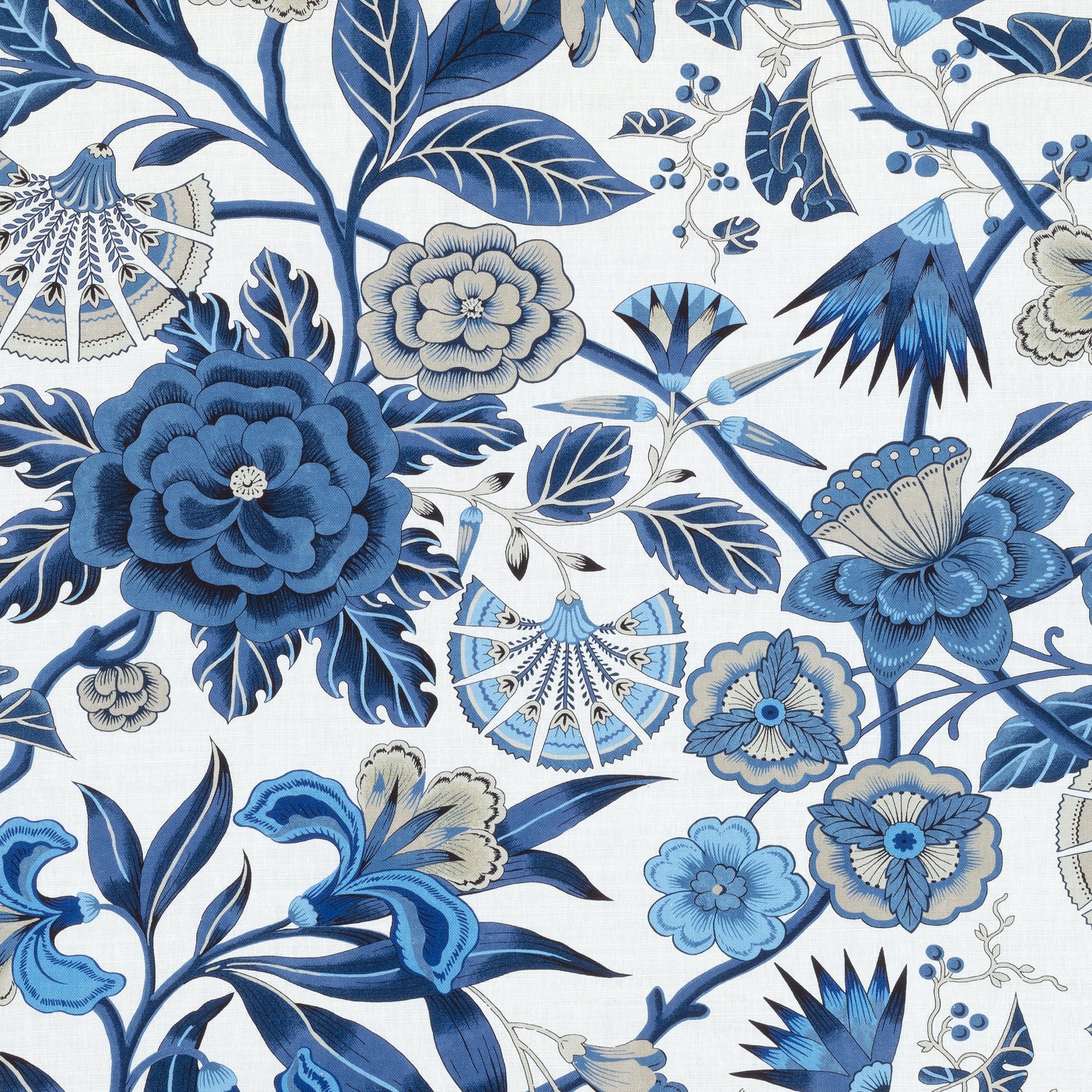 CLEO - Blue and White