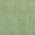 PETIT ARBRE - Green on White