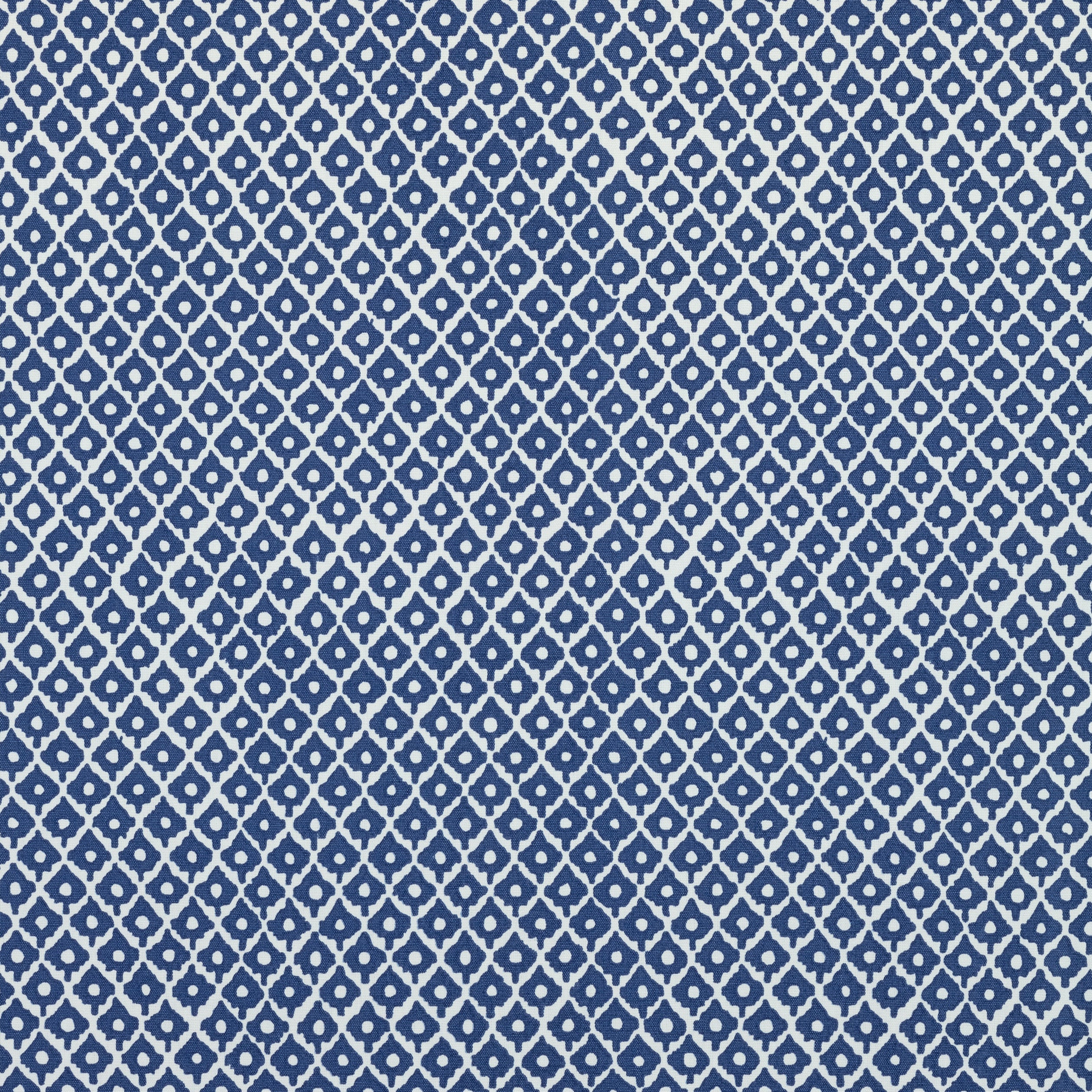 PETIT ARBRE - Navy on White