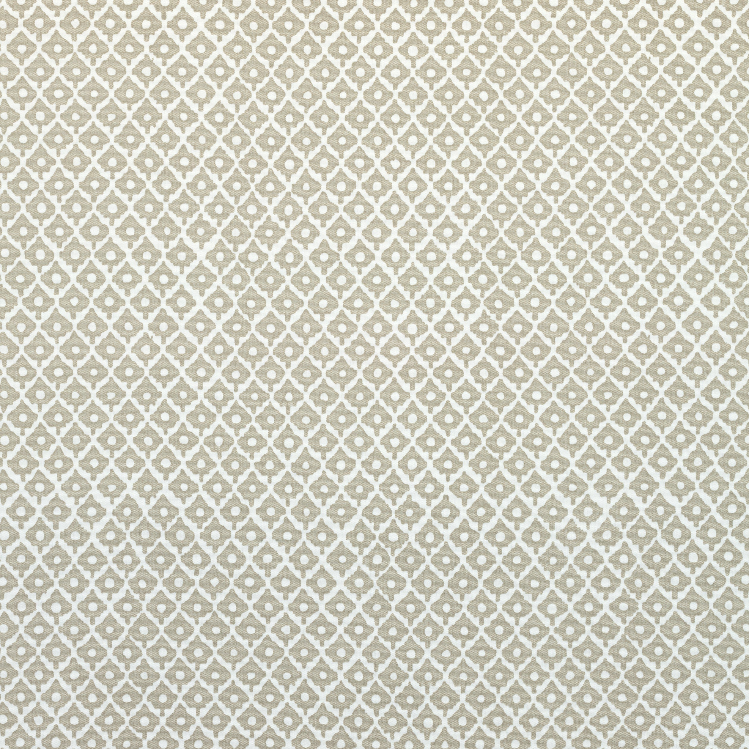PETIT ARBRE - Flax on White