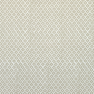 PETIT ARBRE - Flax on White