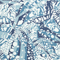 PUCCINI - Navy