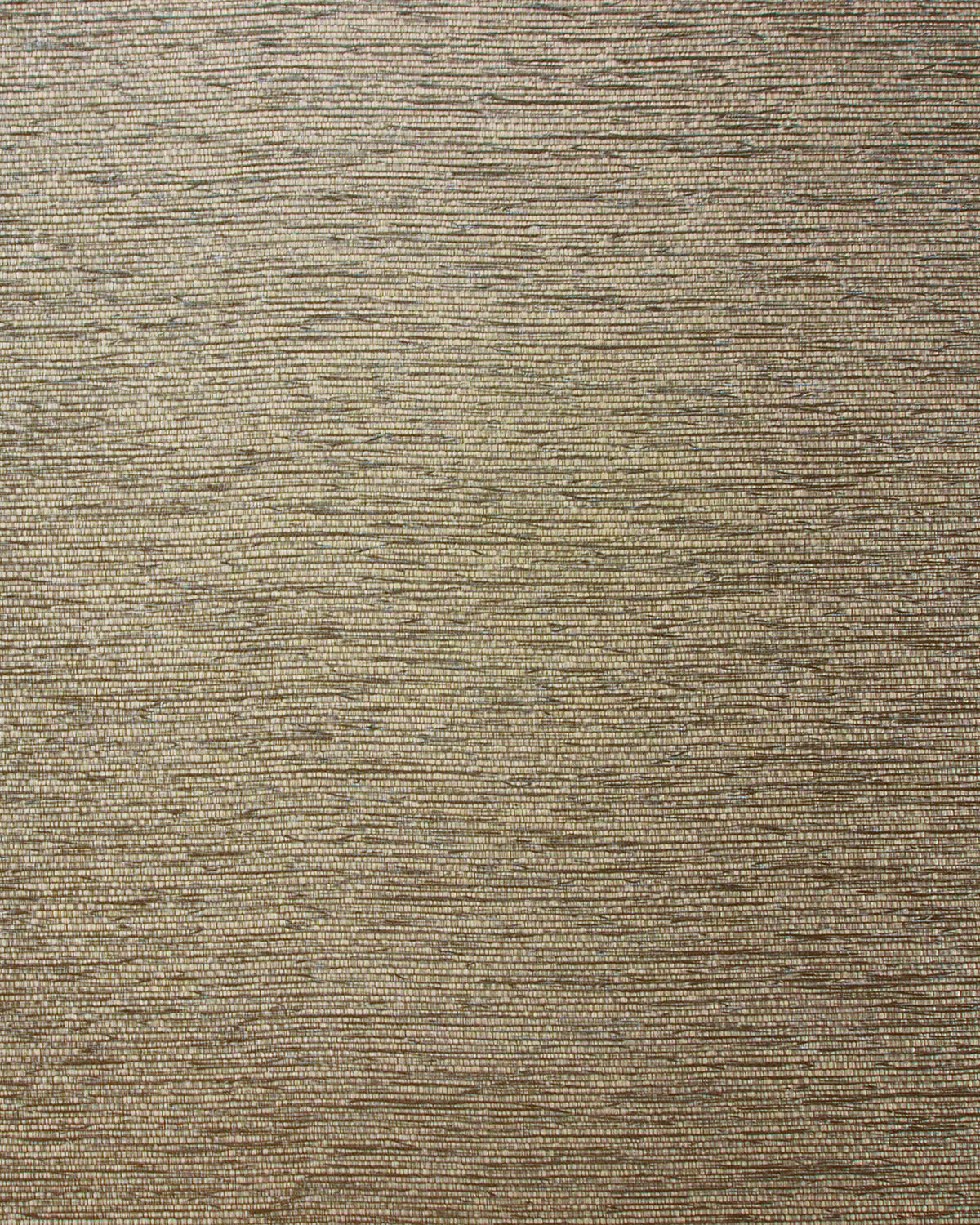 AGI005 (Gioia)