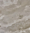 AST004 (Astral)