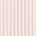 PAYTON STRIPE - Blush