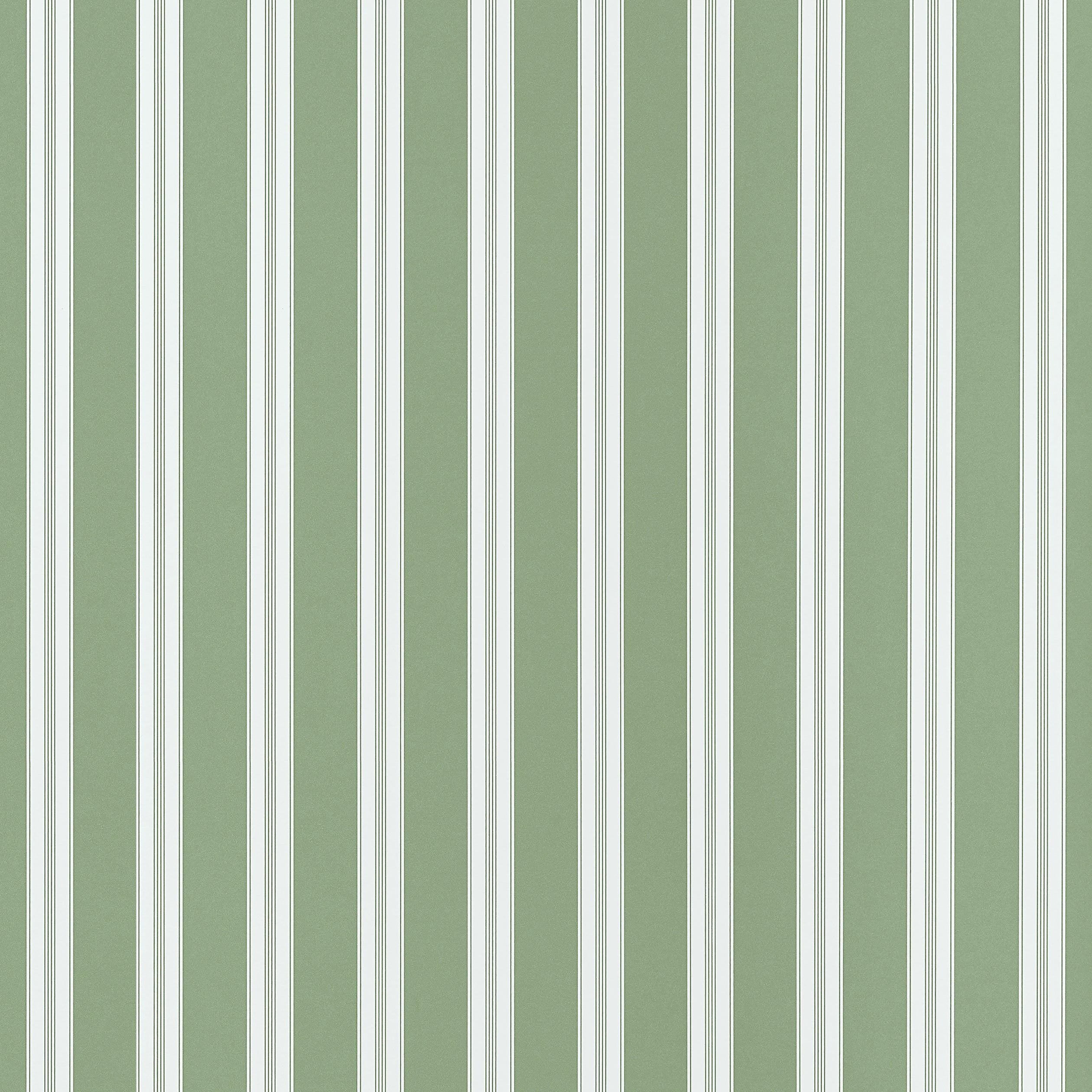 PAYTON STRIPE - Green