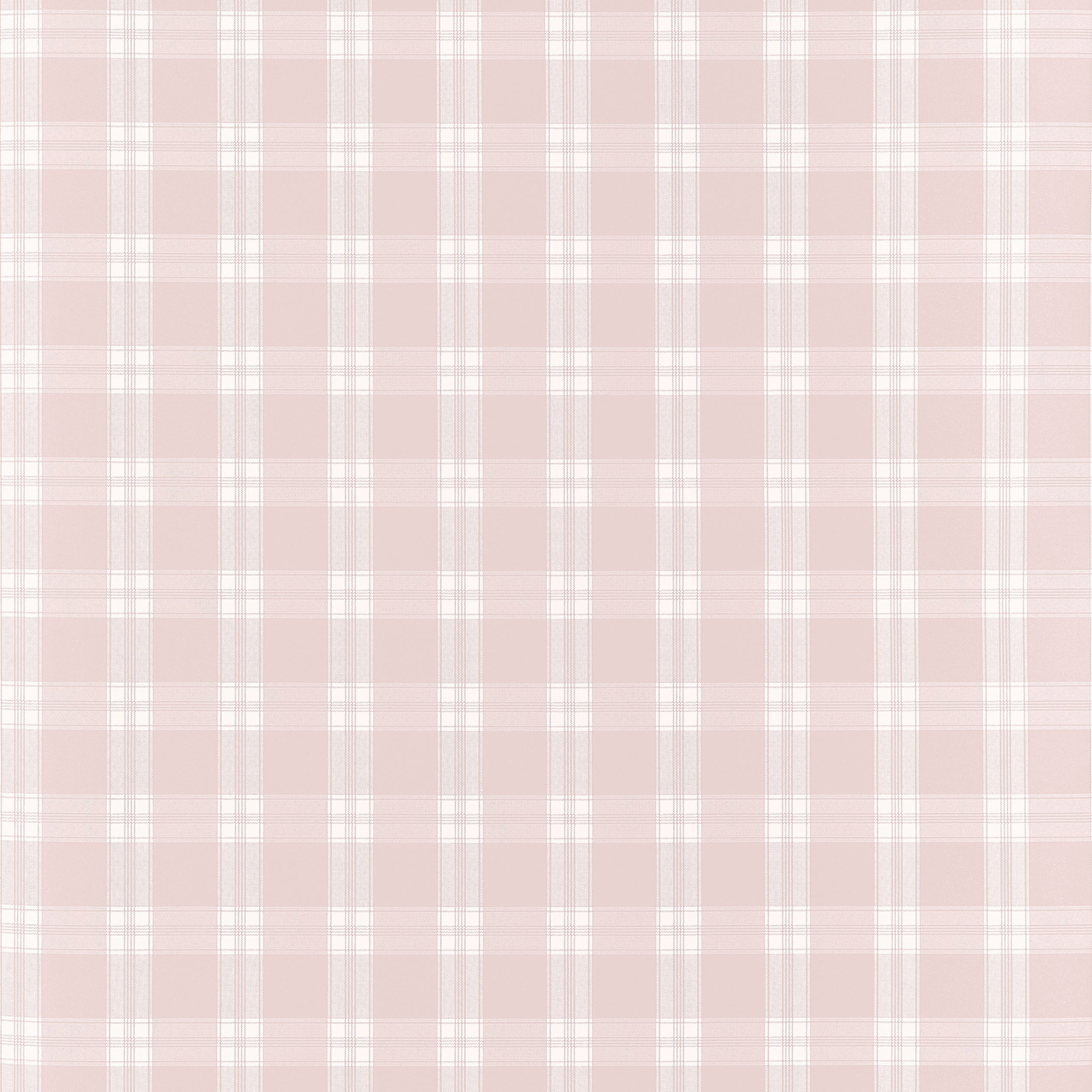 PAYTON CHECK - Blush