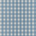 PAYTON CHECK - Blue