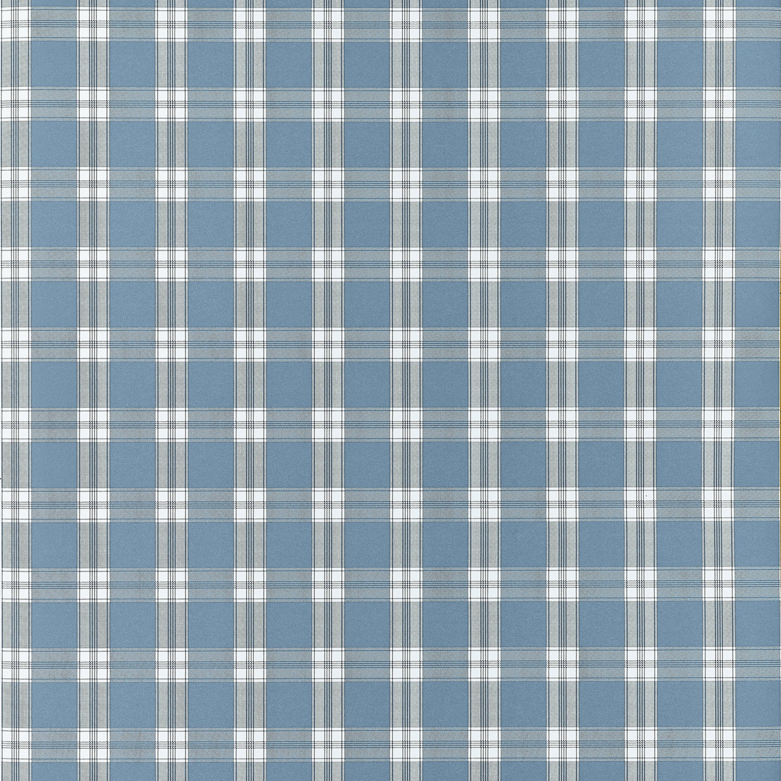 PAYTON CHECK - Blue