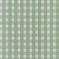 PAYTON CHECK - Green