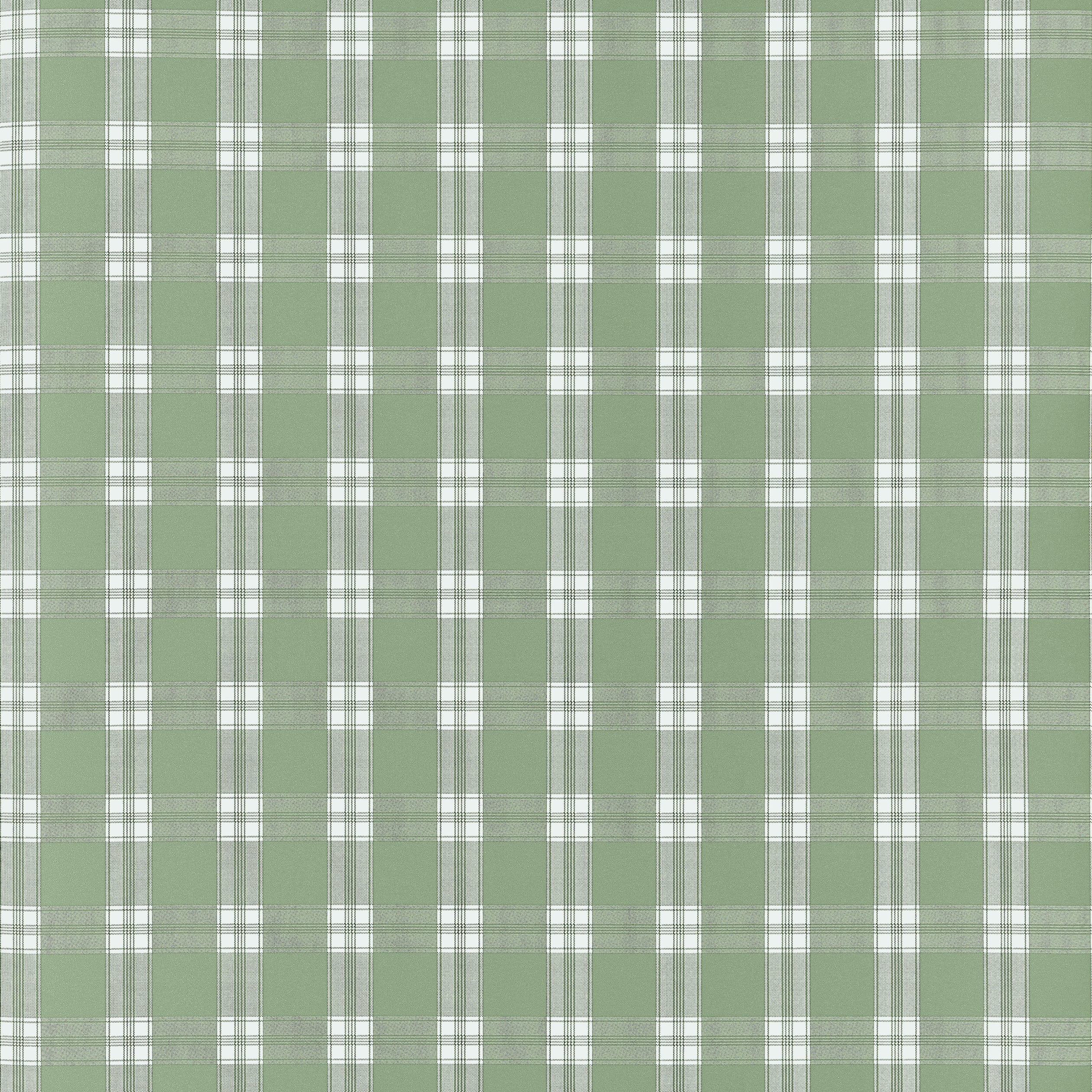 PAYTON CHECK - Green