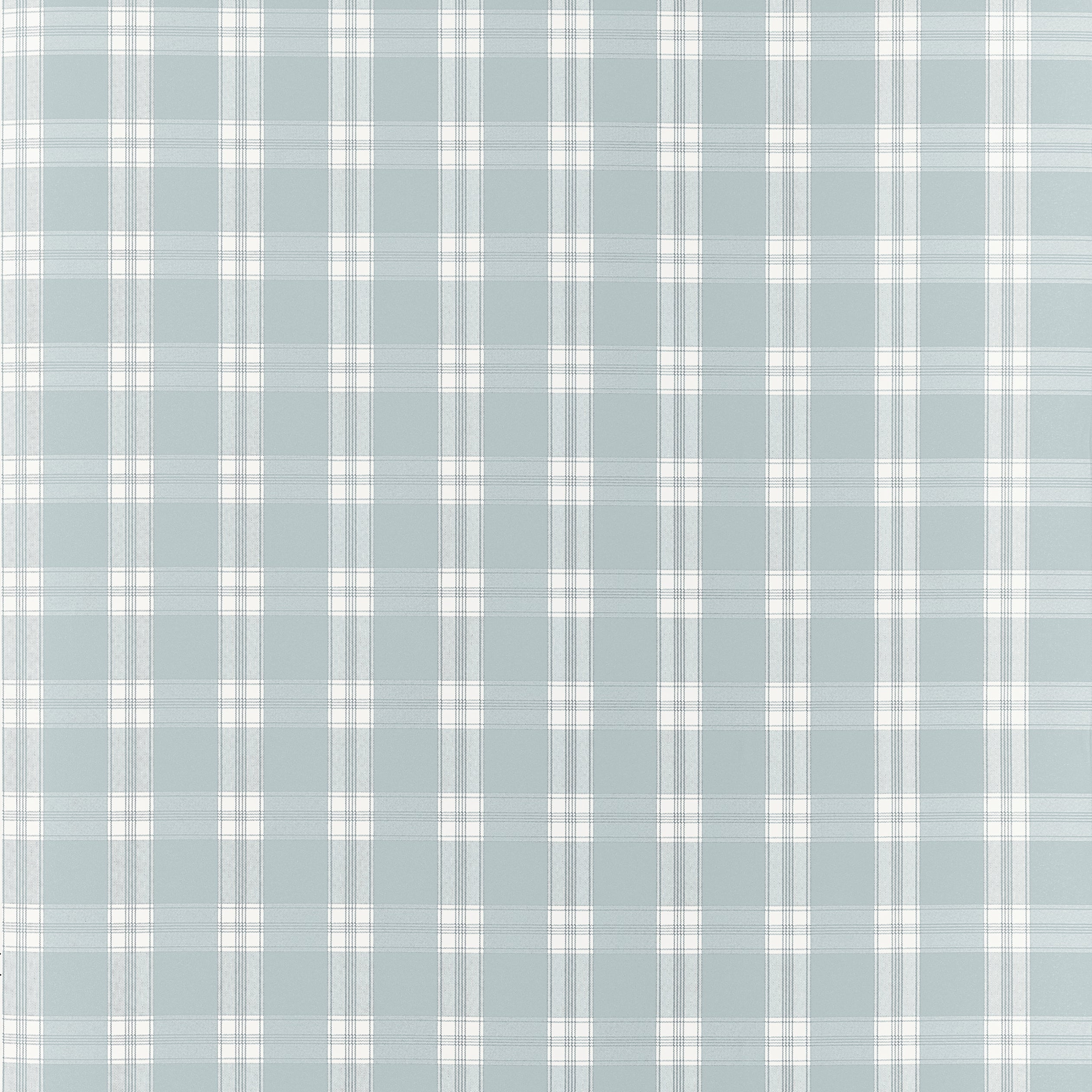 PAYTON CHECK - Spa Blue