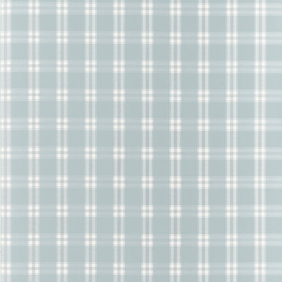 PAYTON CHECK - Spa Blue