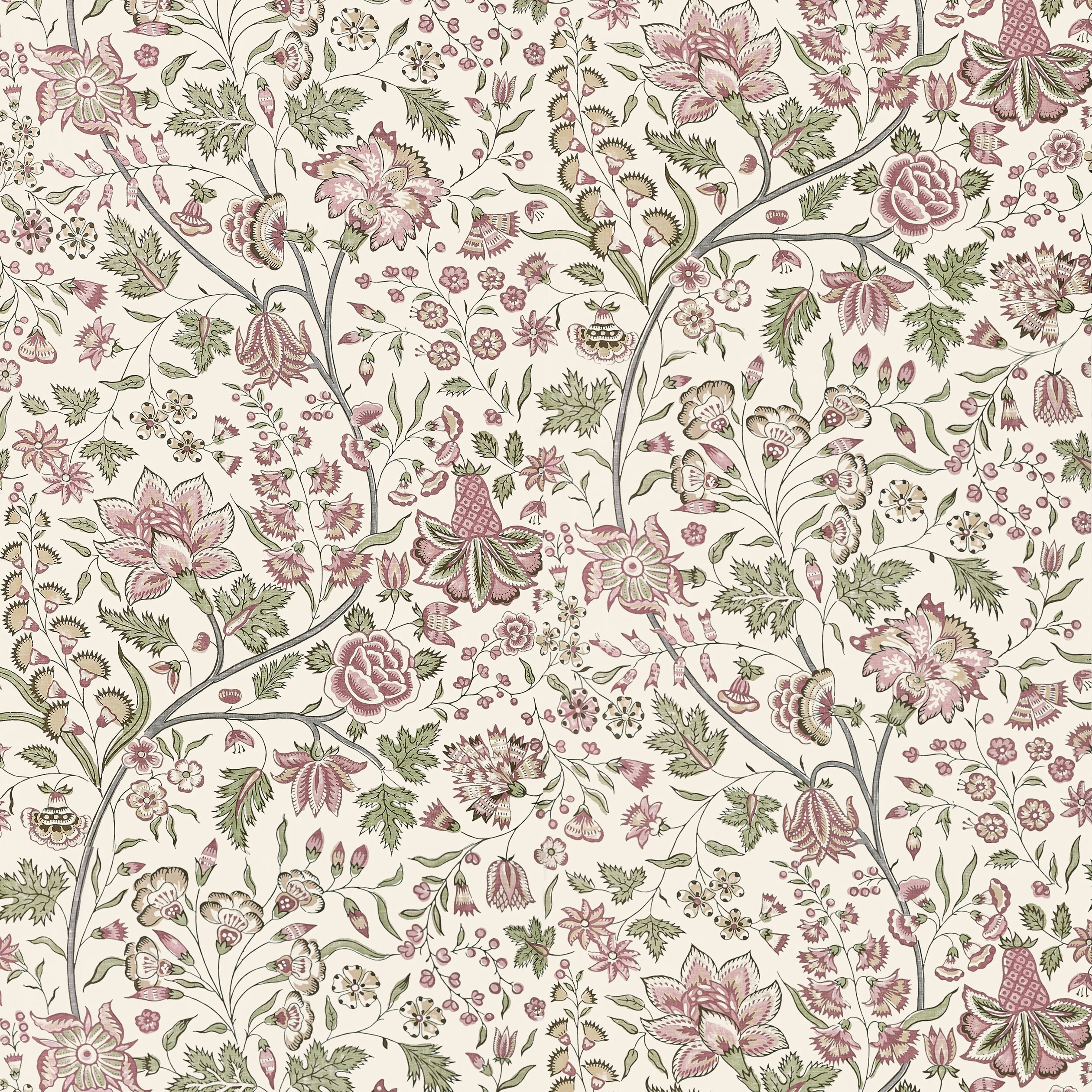 FRANCOIS - Blush