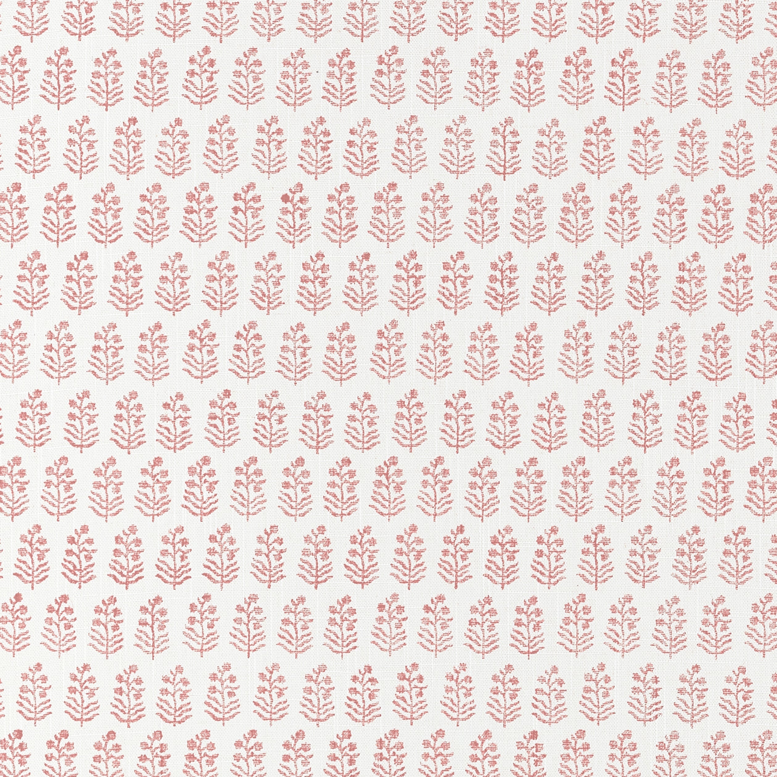 CHLOE - Blush