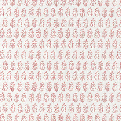 CHLOE - Blush