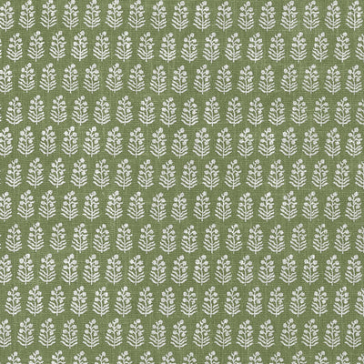 CHLOE - Green