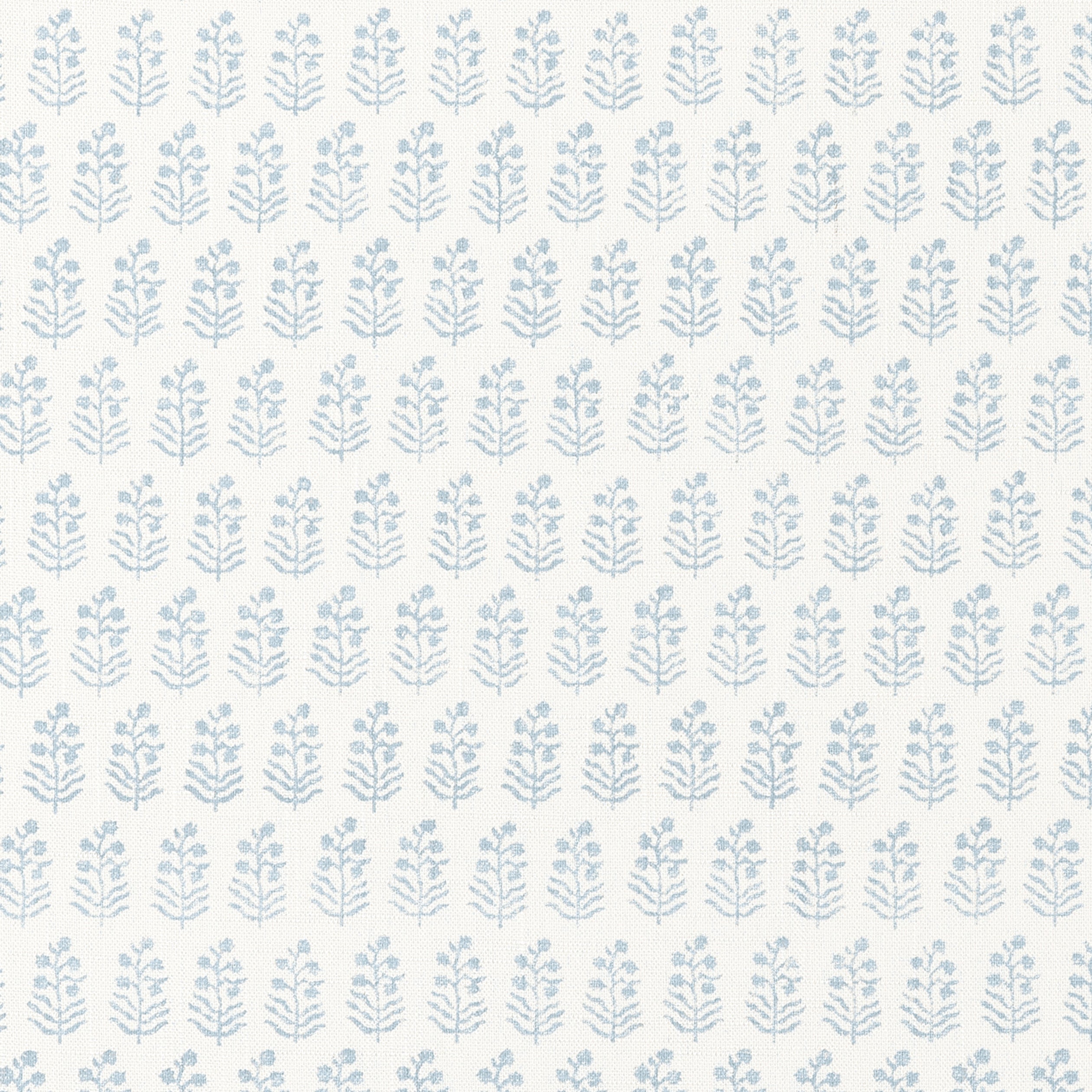 CHLOE - Spa Blue on White