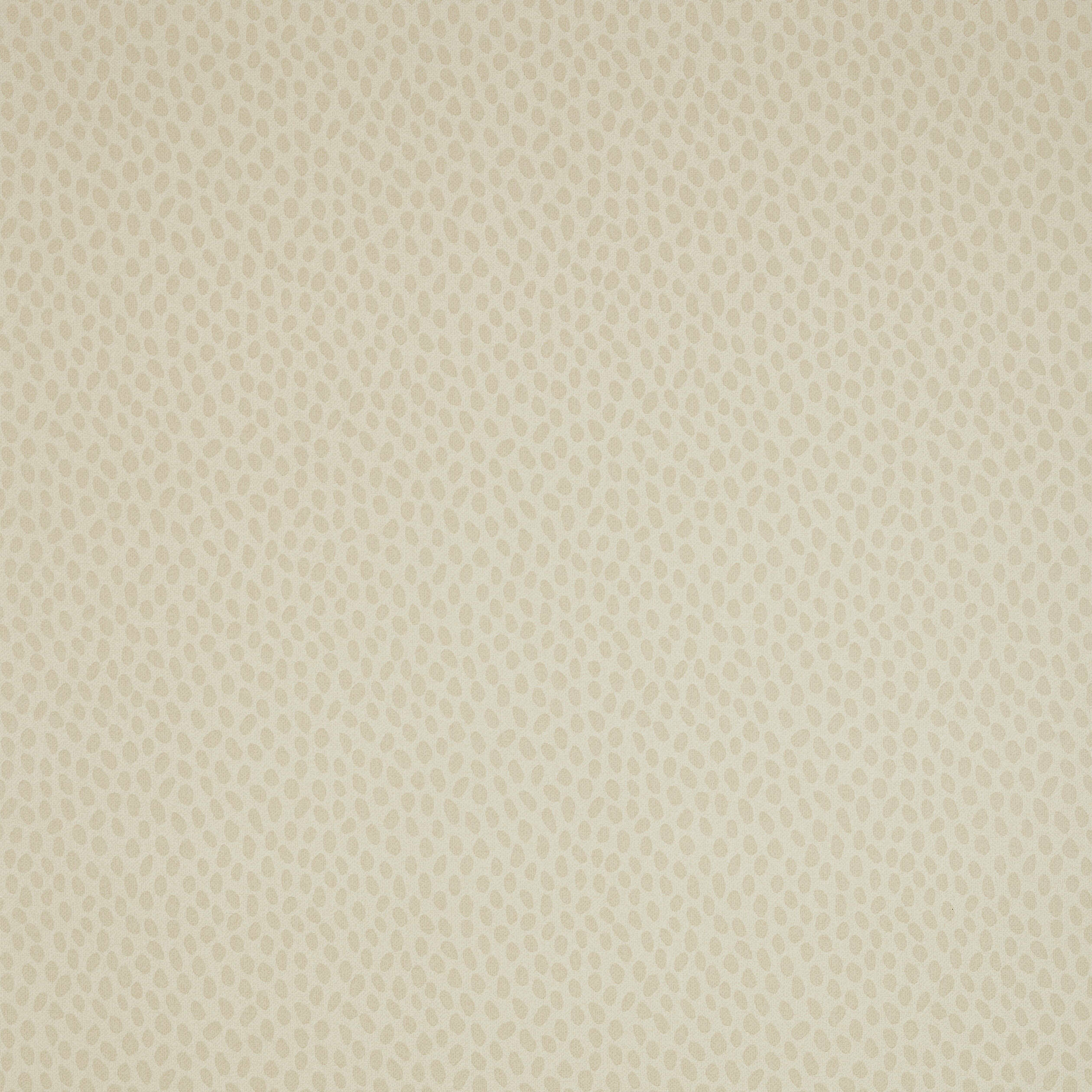SPOT ON - Beige and Pearl