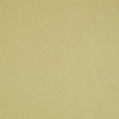 SPOT ON - Citron Pearl