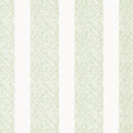 CLIPPERTON STRIPE - Green