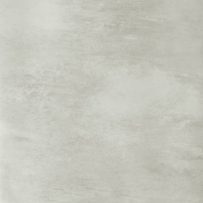 CLOUD 9 - Grey on Pearl