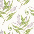 WINTER BUD - Lavender