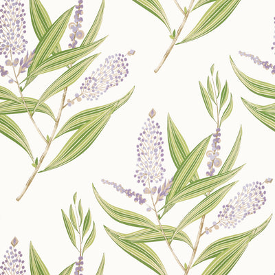 WINTER BUD - Lavender