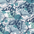 PAXTON - Blue