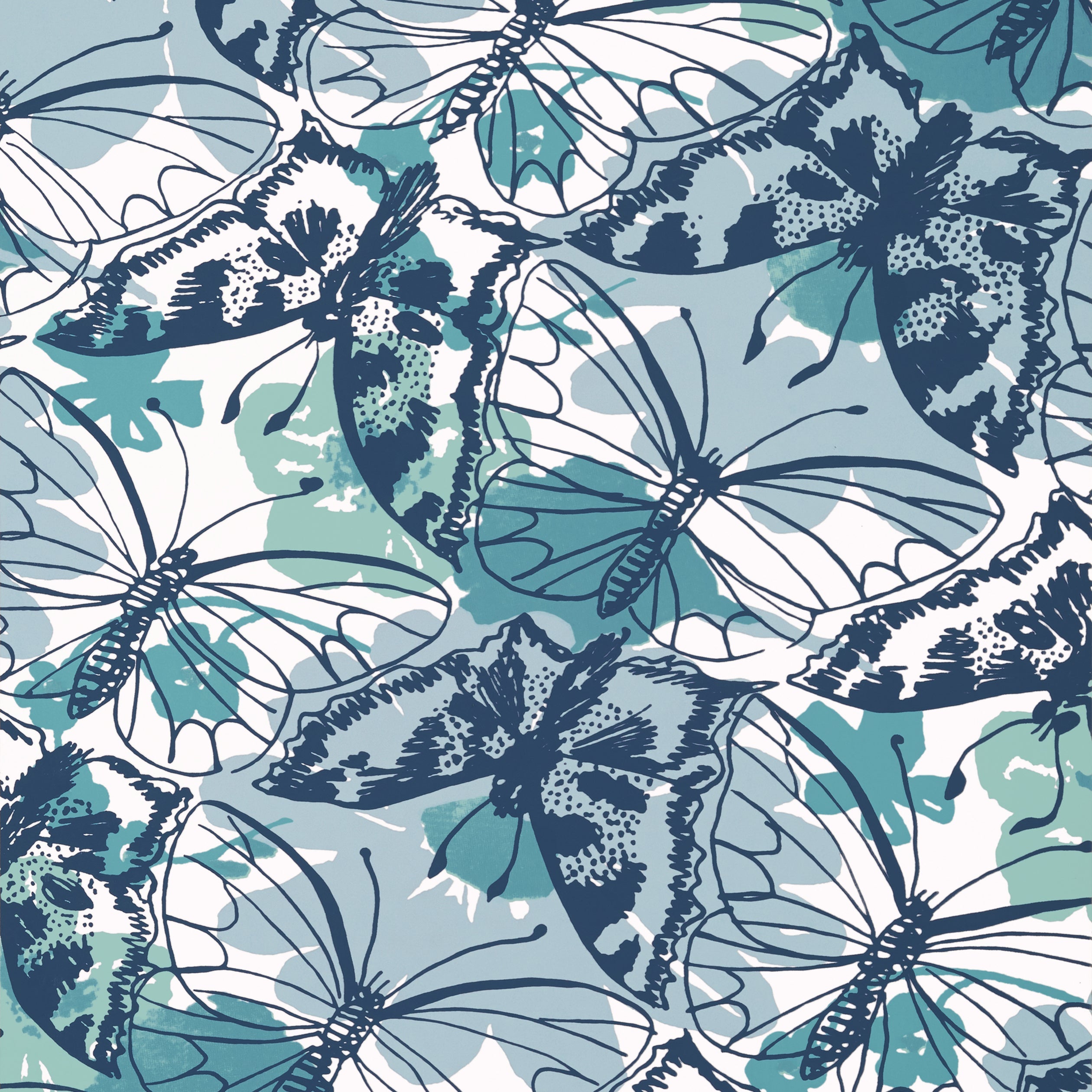PAXTON - Blue