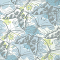 PAXTON - Soft Blue
