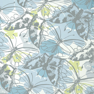 PAXTON - Soft Blue