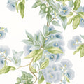 CAMELLIA GARDEN - Sky