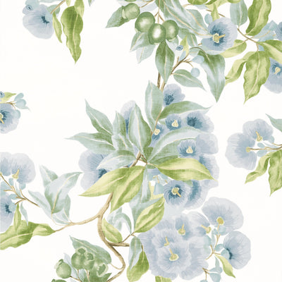 CAMELLIA GARDEN - Sky