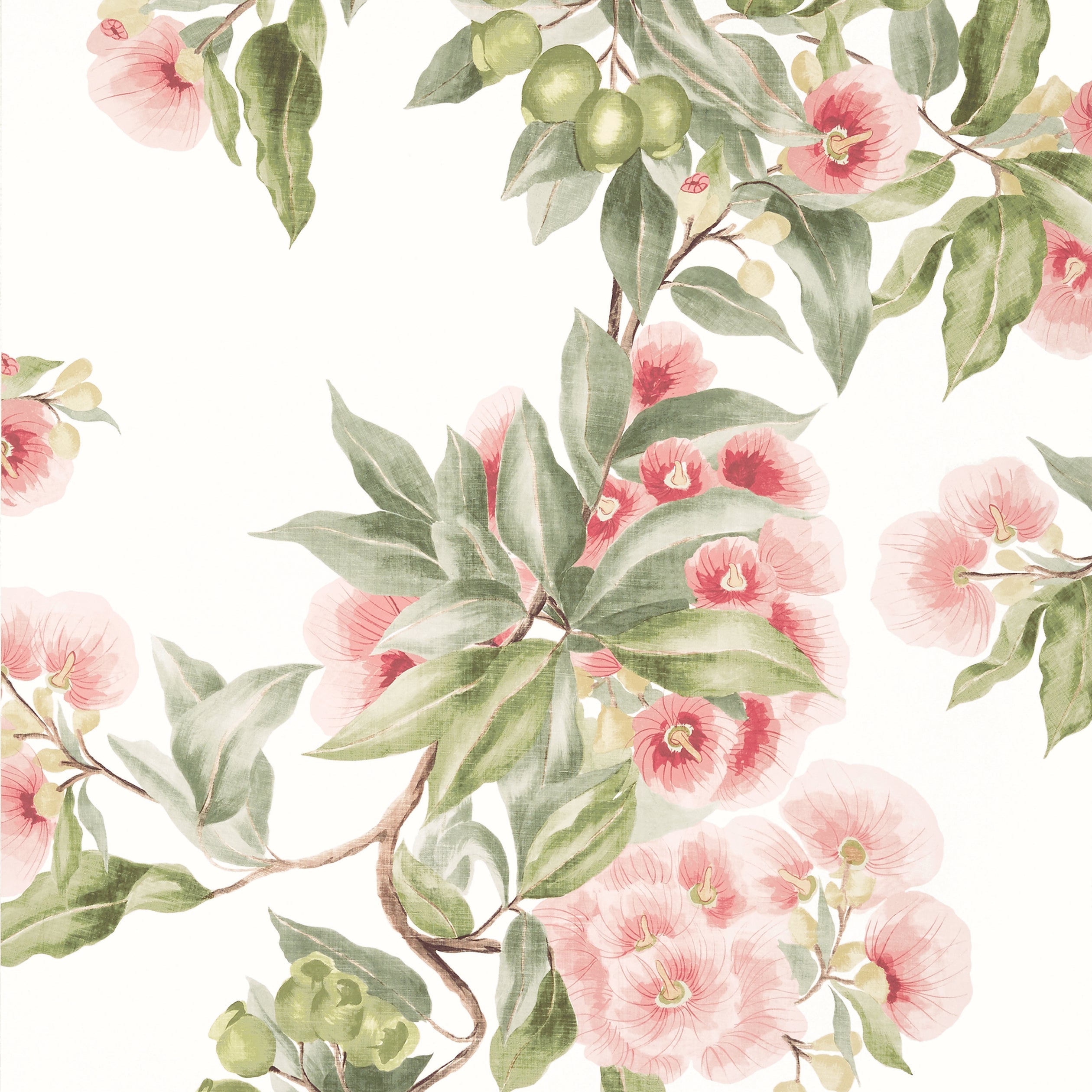 CAMELLIA GARDEN - Coral