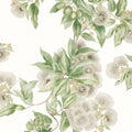 CAMELLIA GARDEN - Spring on White