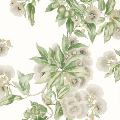 CAMELLIA GARDEN - Spring on White
