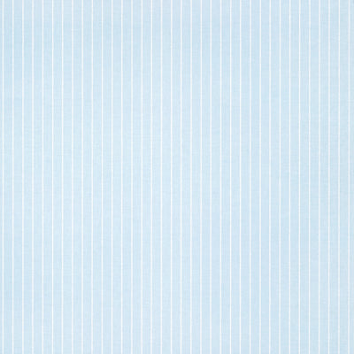 WESLEY STRIPE - Blue