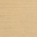 CHOLLA SISAL - Sand