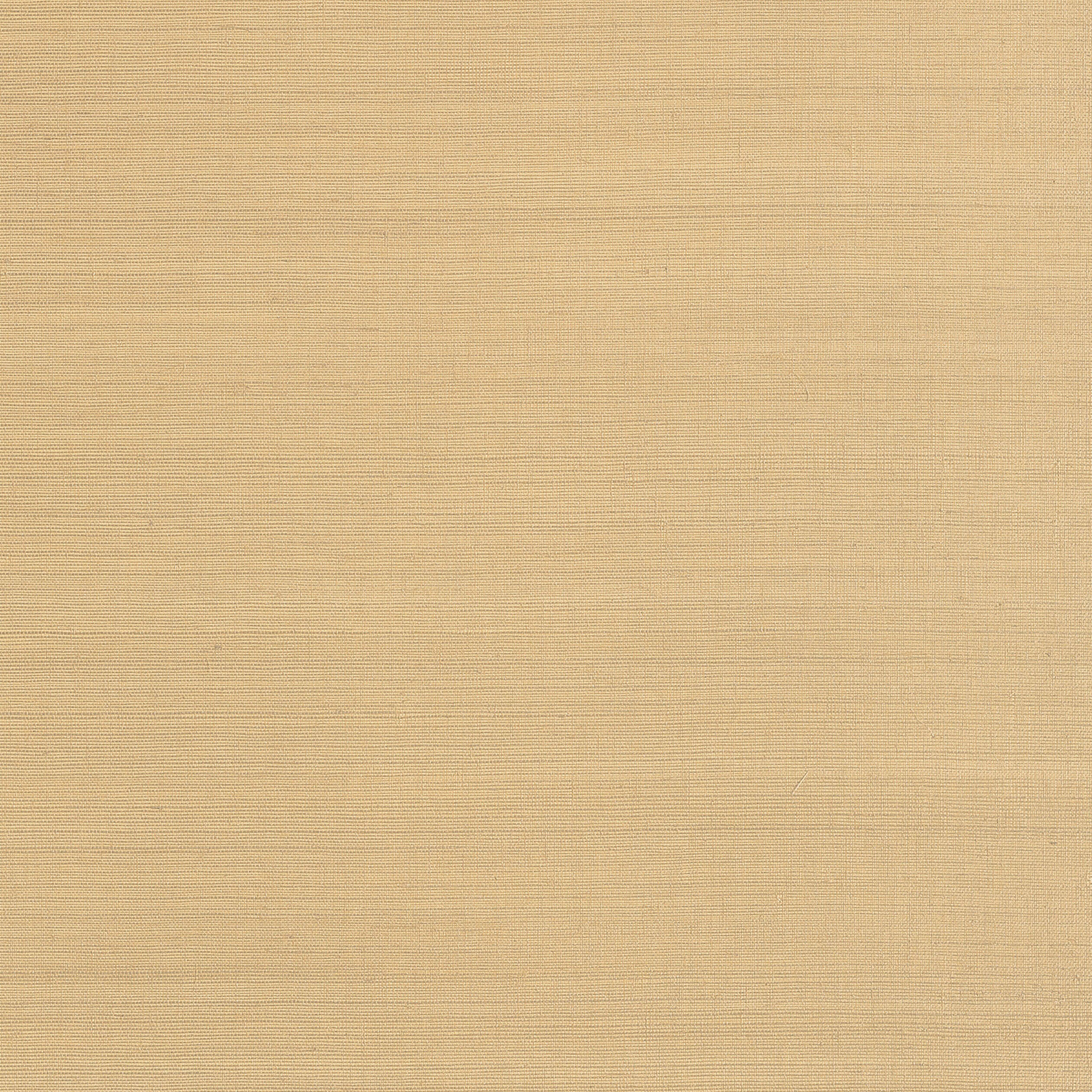 CHOLLA SISAL - Sand