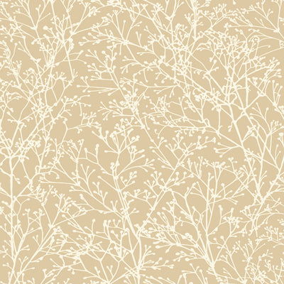 ZOLA - Beige
