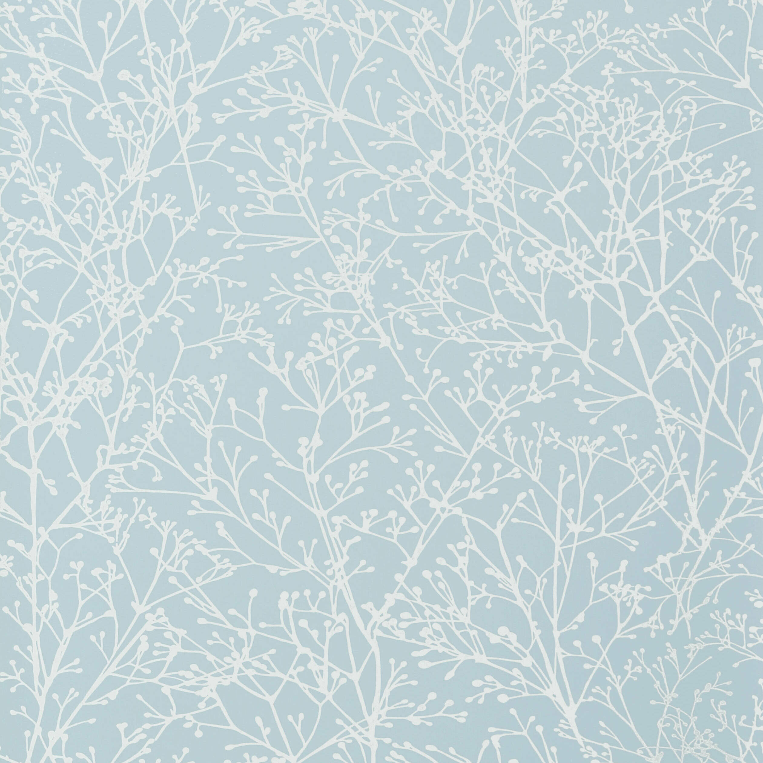 ZOLA - Pale Blue