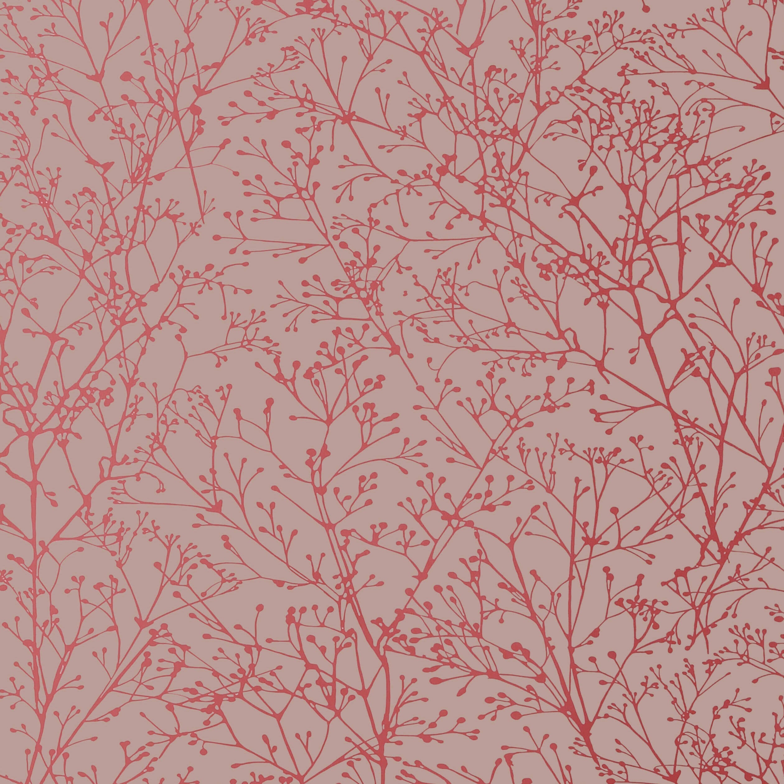 ZOLA - Pink on Grey