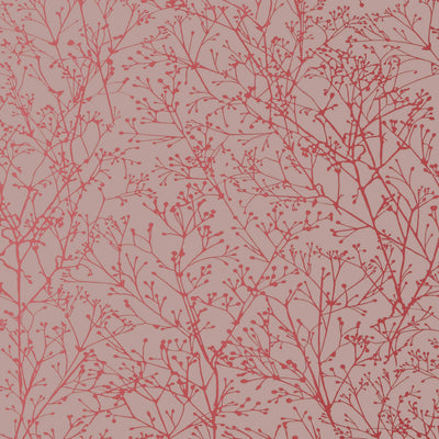 ZOLA - Pink on Grey