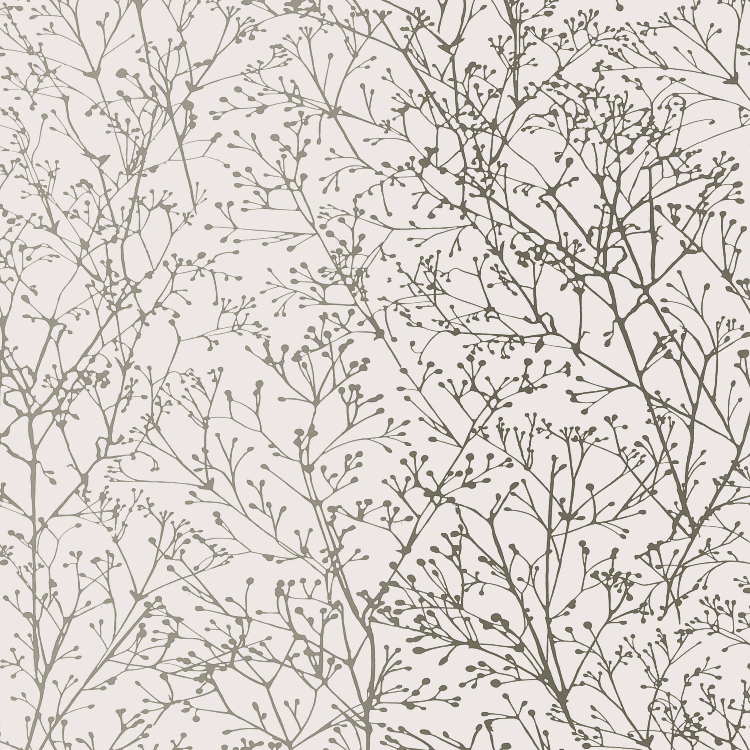 ZOLA - Silver on White