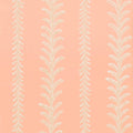CANTAL - Pink